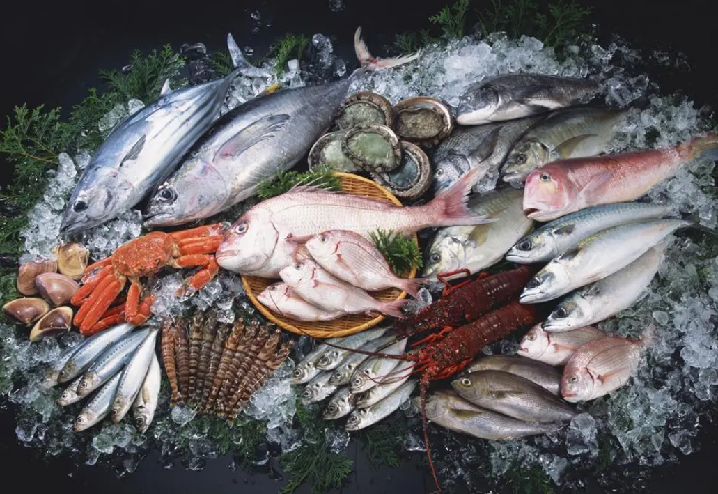 �����ٶ����