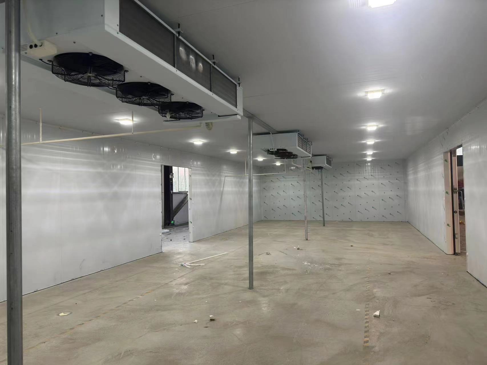 ����������ʲô��