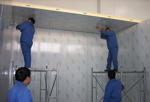 ��ⲻ���������Ч�����ԭ�򼰽������